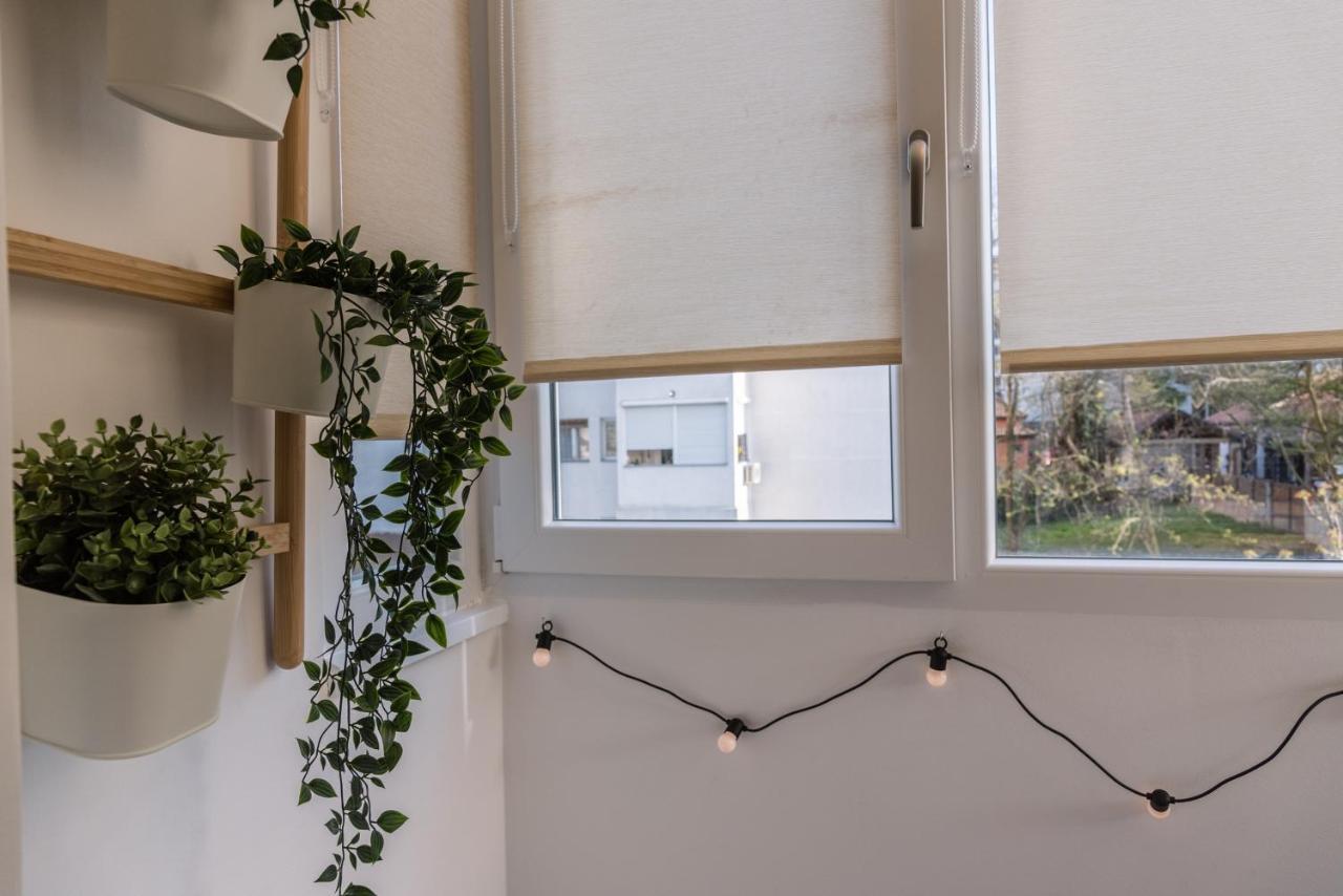 Apartman Mila23 Rospi Cuprija Ngoại thất bức ảnh
